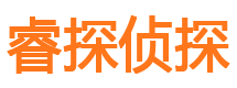 尼勒克调查公司